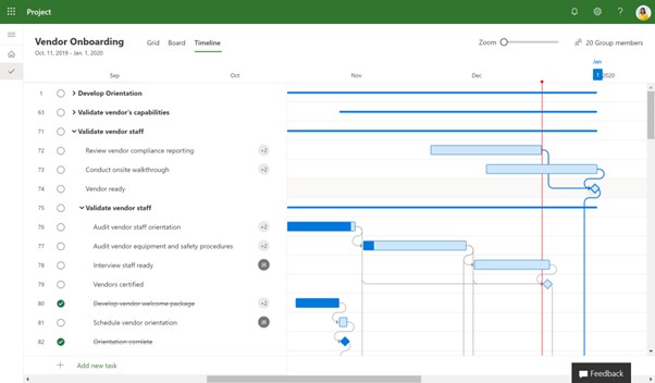 Microsoft Project Interface