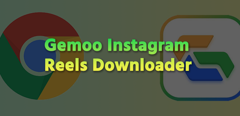 Gemoo Instagram Reels Downloader