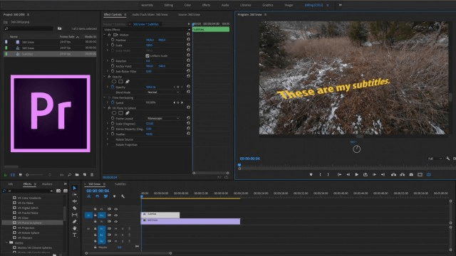 Add Subtitles in Premiere Pro