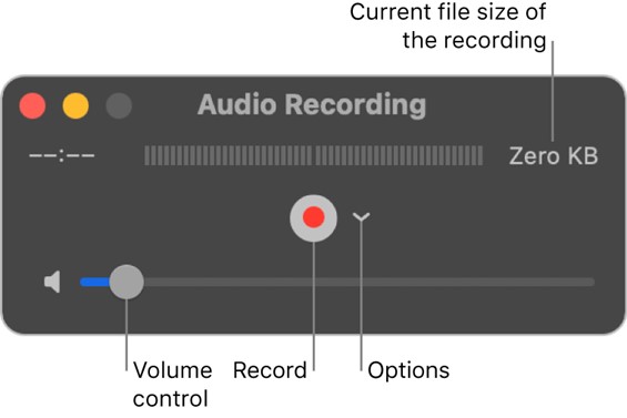 Adjust The Recording Settings 