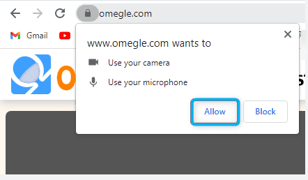 Allow for both Microphone and Camera