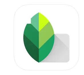 Apps to Remove Person from Photo - Snapseed