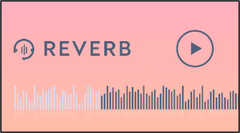 Chrome Audio Capture Tool - Reverb Record