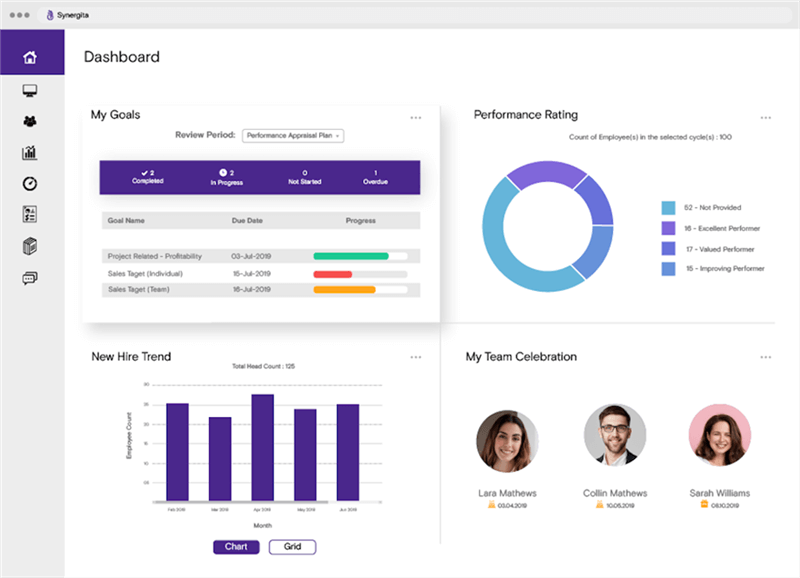 Synergita Interface