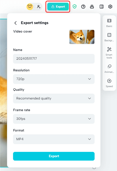 Export the Final Video
