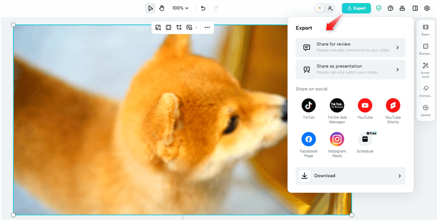 Export the Video