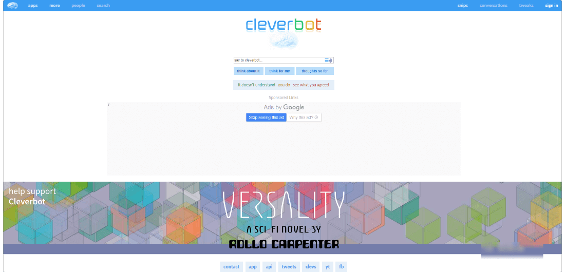 Cleverbot Interface
