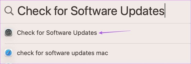 Check for Software Updates