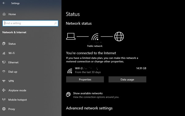 Check the Internet Connection Windows