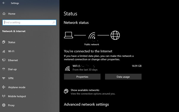 Check the Internet Connection Windows