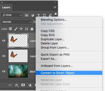 Choose Convert to Smart Object