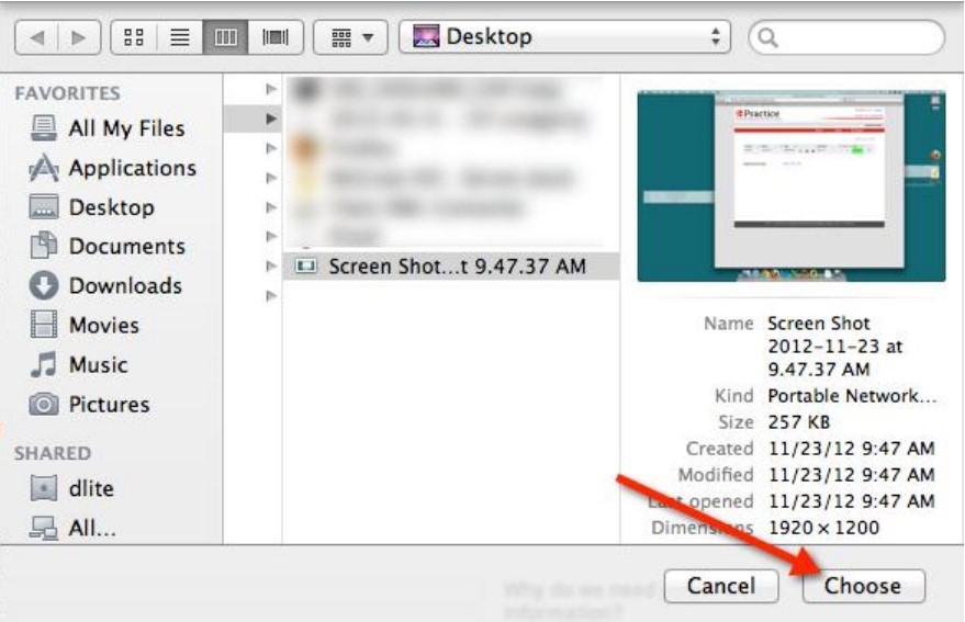 Choose Screenshot on Mac