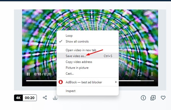 Choose Save Video as Option