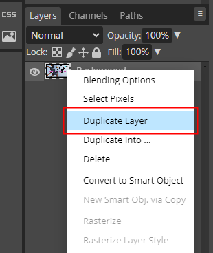 Choose the Duplicate Layer