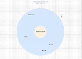 Circle Map