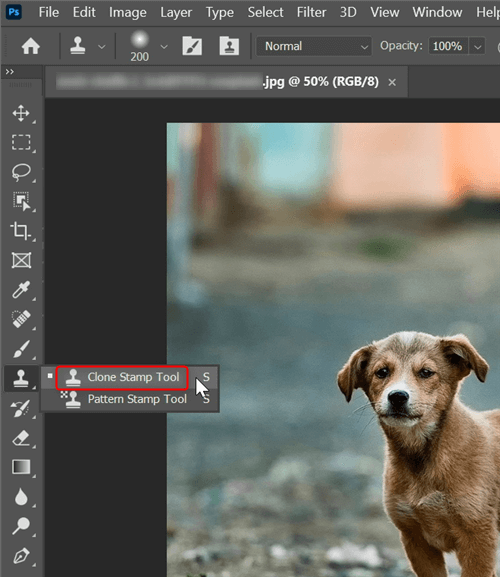 Select the Clone Stamp tool in Photoshop