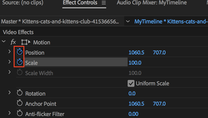 Create a Zoom Animation