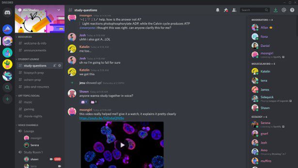 Discord-Schnittstelle