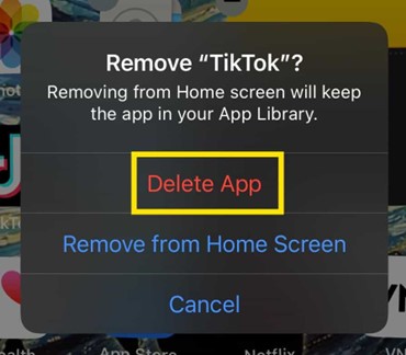 Delete TikTok