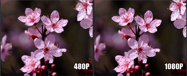 Differences Between 480p and 1080p