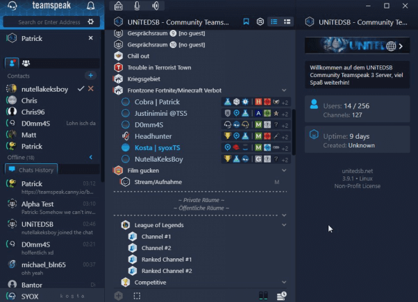 Discord Alternative - TeamSpeak