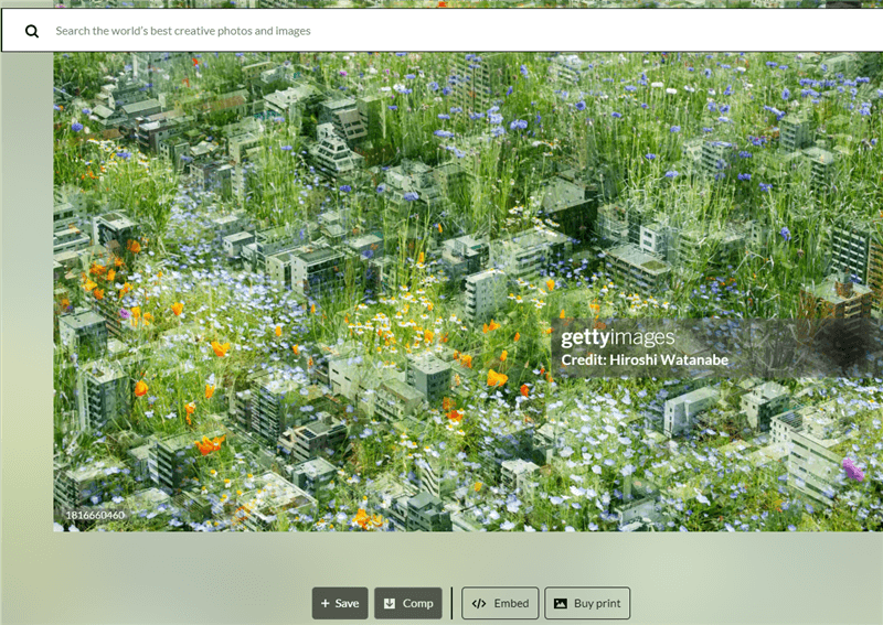 Download the Getty Image without Watermark