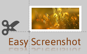 Easy Screenshot Extension Interface