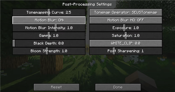 Turn On/Off Motion Blur Minecraft
