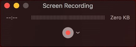 Cliquez sur le Bouton REC