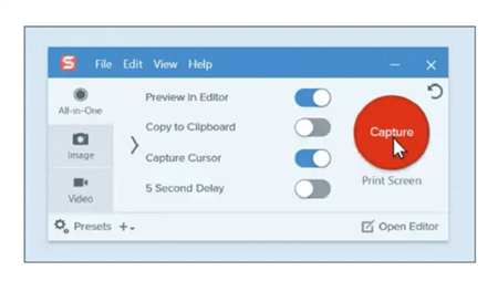 Alternative à Bandicam - Snagit