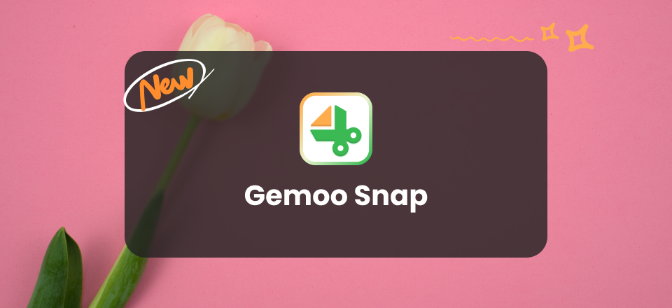 Gemoo Snap Is Available
