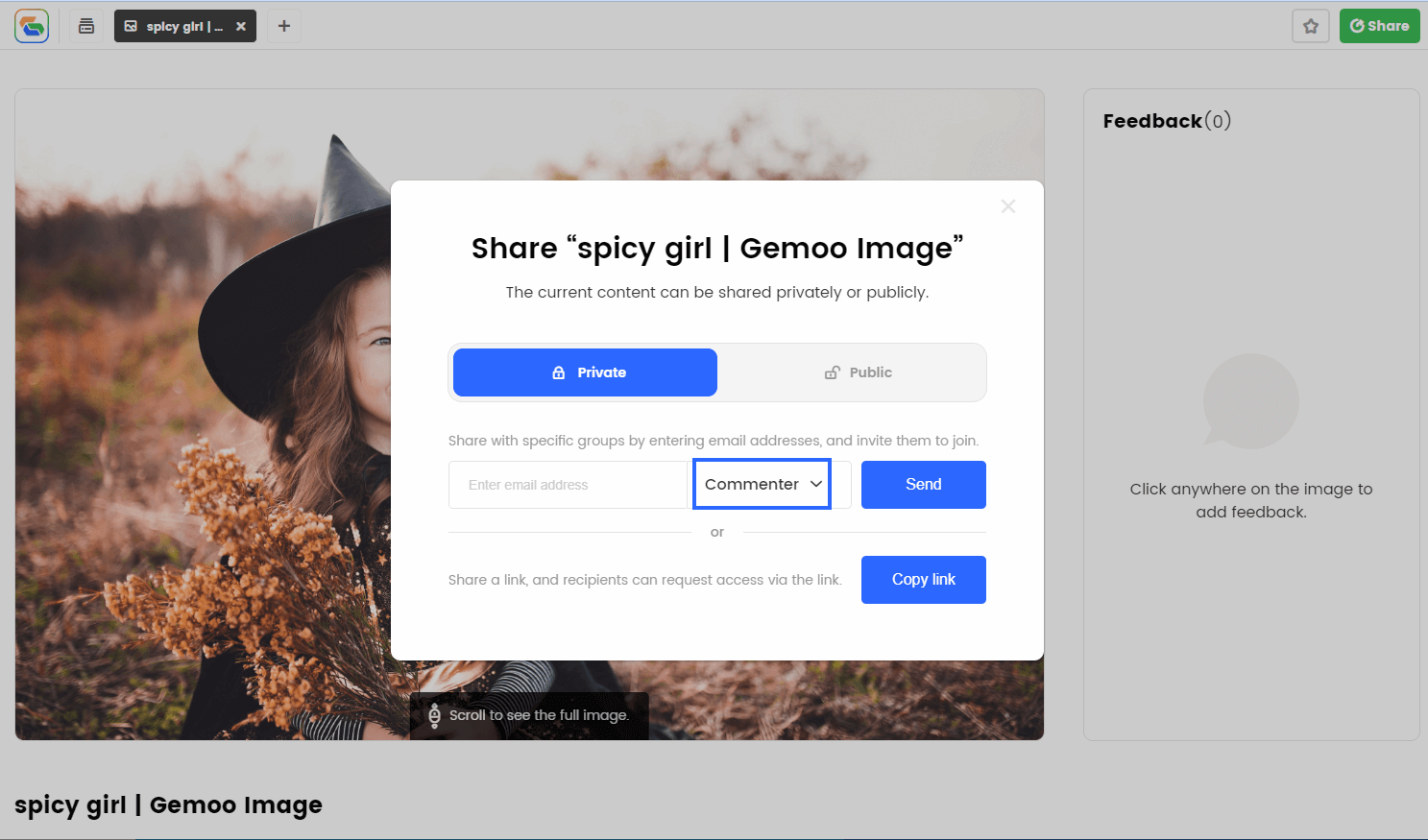 Choose Commenter Option