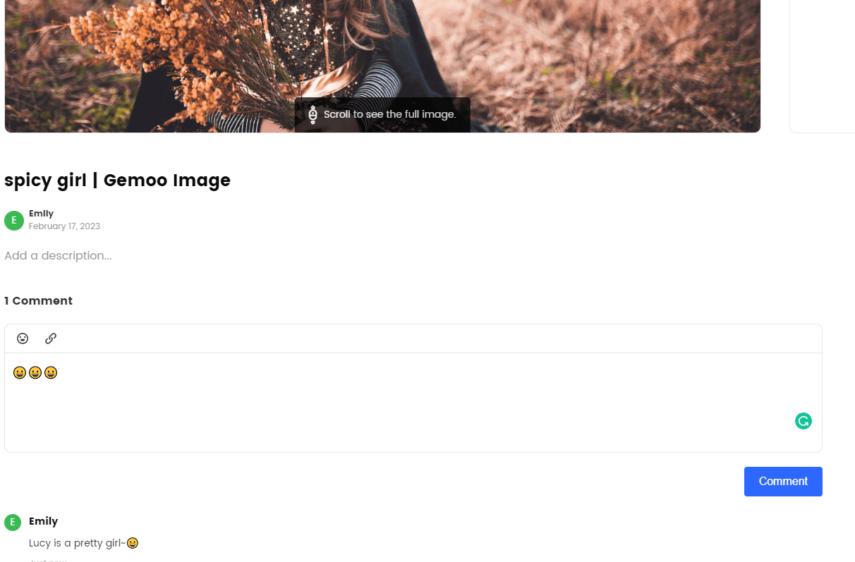 Comment on The Image