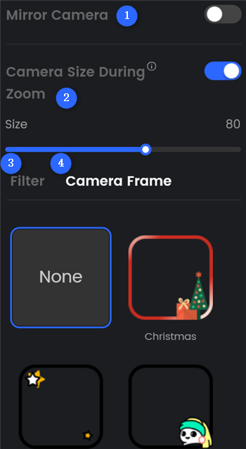 Other Webcam Settings