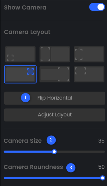 Other Webcam Settings