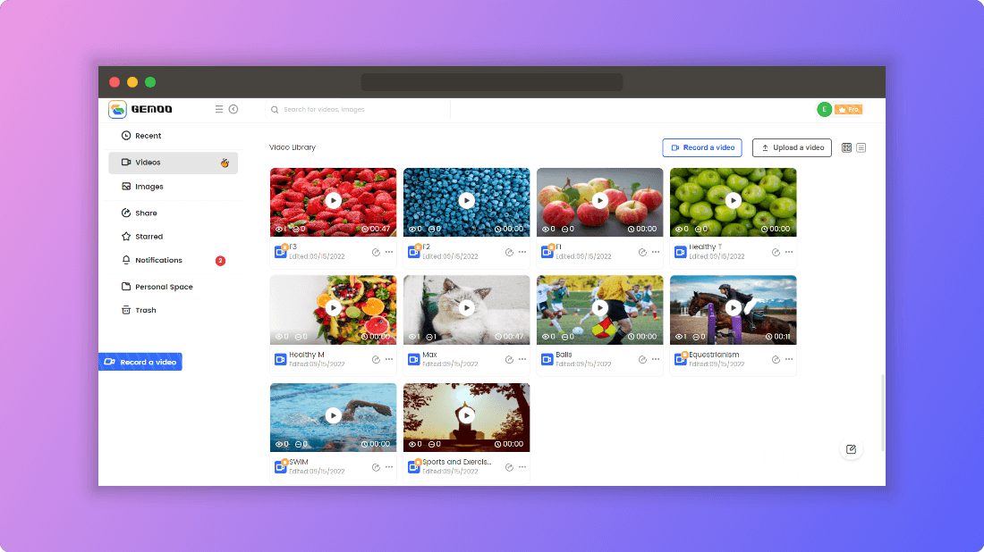 Gemoo Interface Overview