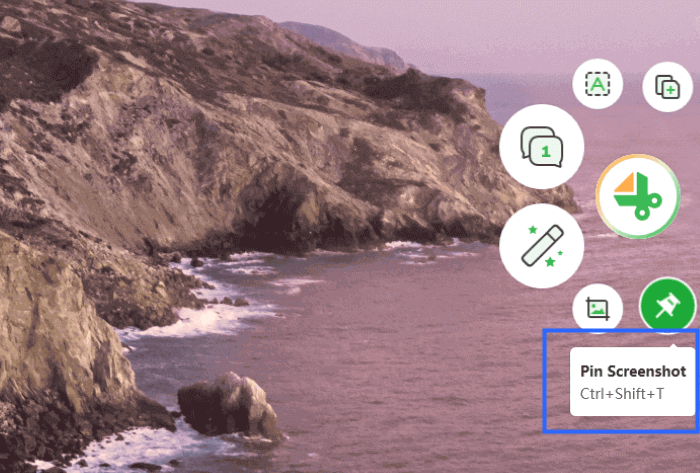 Choose Pin Screenshot Function