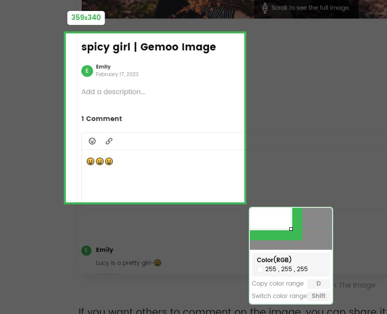 Select the Screenshot Area