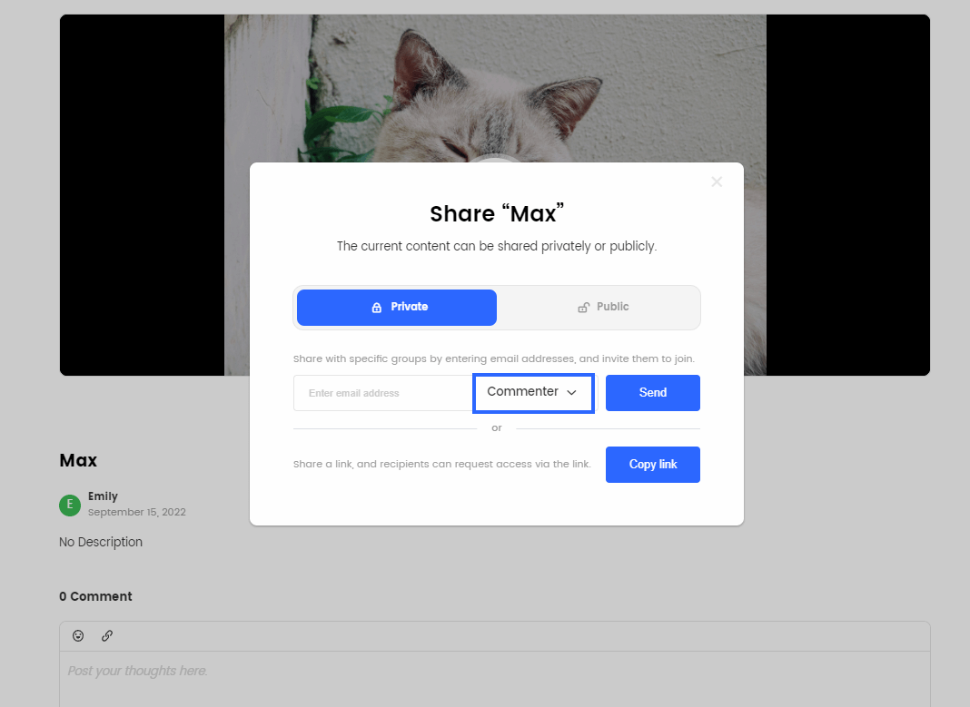 Share Video