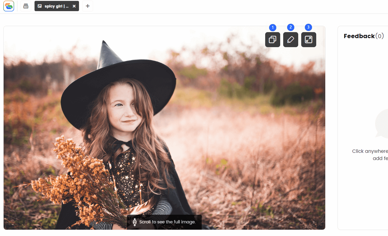 The Interface of the Image