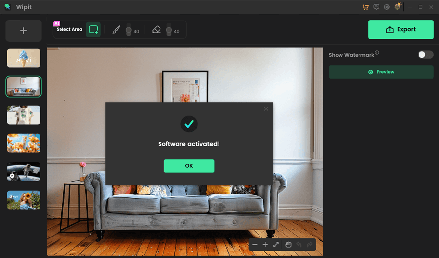 Wipit Software Activated
