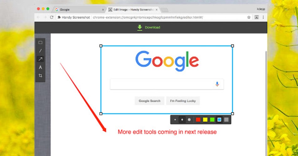 Handy Screenshot Interface