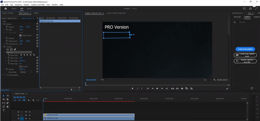 Remove Watermark from Video in Premiere Pro