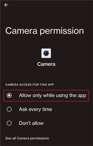 Allow the Camera Permission