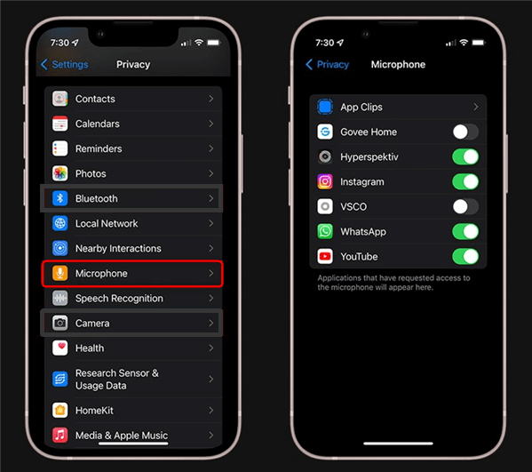 Check Microphone Permissions