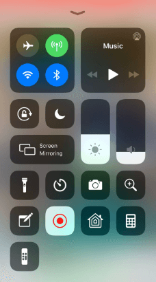 Hold the Screen Recording Icon
