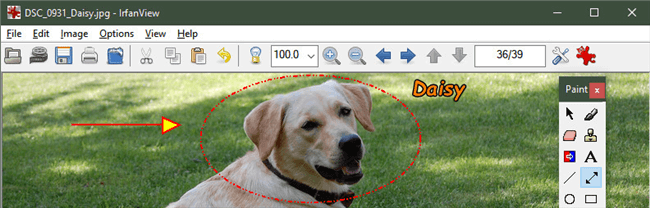 Irfanview Interface
