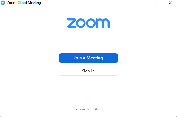 Zoom Interface