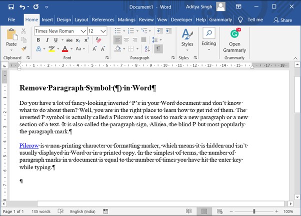Microsoft Word Interface