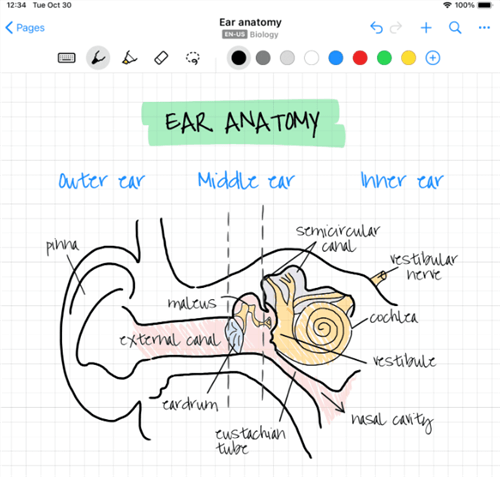 Note Taking Apps for Windows - Nebo